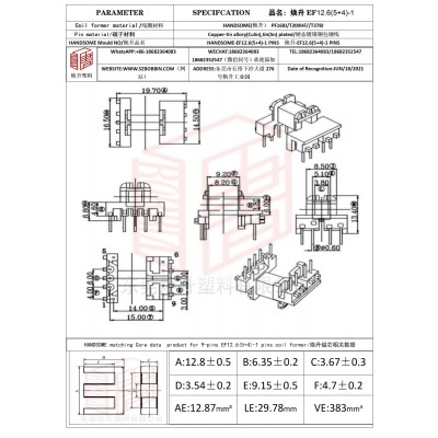 煥升塑料EF12.6(5+4)-1高頻變壓器骨架磁芯BOBBIN圖紙