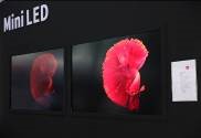 聚焦LED應用全場(chǎng)景， 2022深圳國際全觸與顯示展解鎖行業(yè)新航向